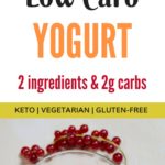 2 Ingredients Keto Yogurt Recipe 3