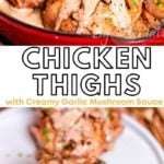 Creamy Mushroom Chicken Thighs Recipe 2