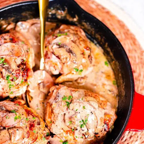 creamy chicken thighs with mushroom sauce in the skillet