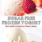Sugar-Free Frozen Yogurt Recipe 3