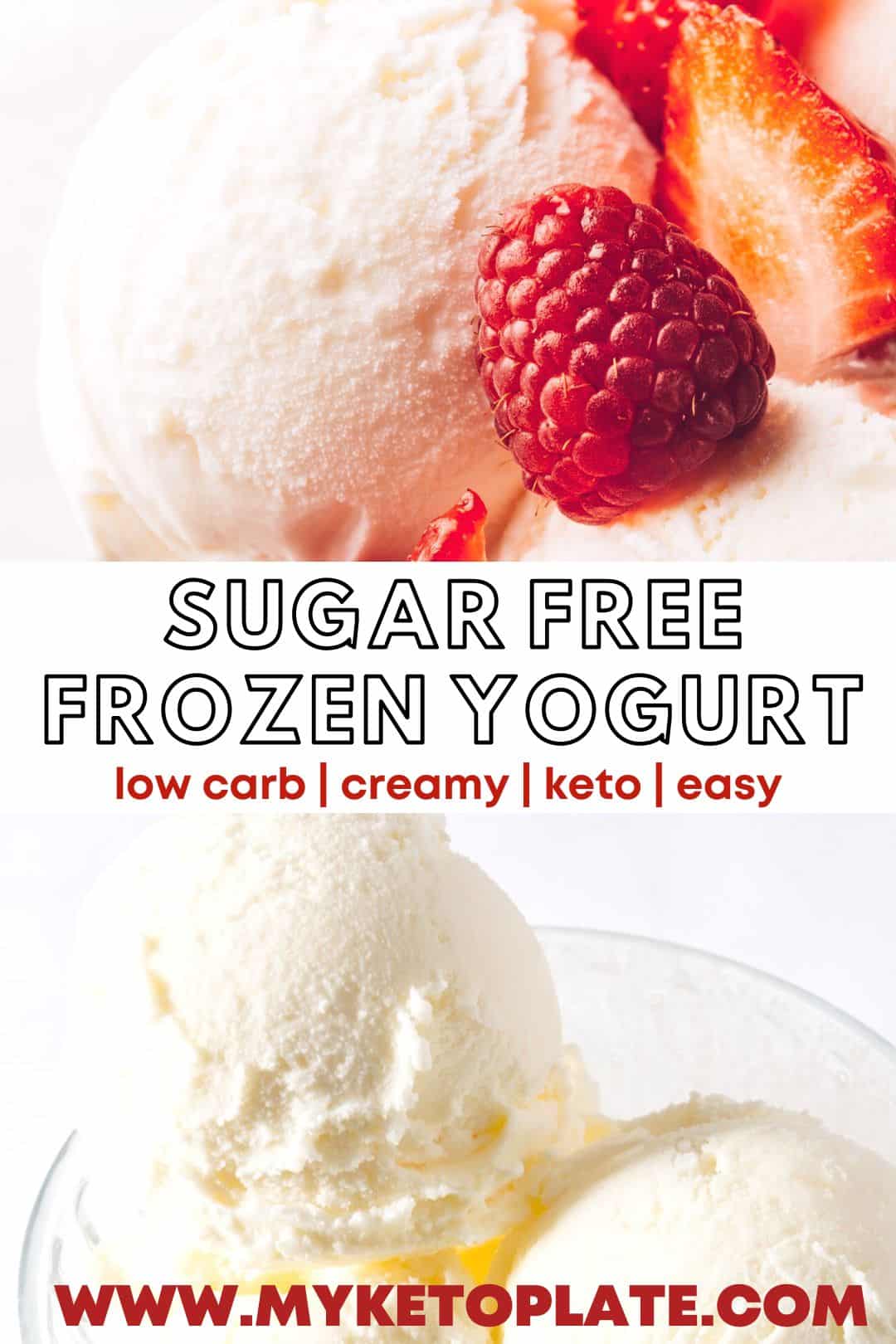 SugarFree Frozen Yogurt Recipe MyKetoPlate