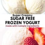 Sugar-Free Frozen Yogurt Recipe 2