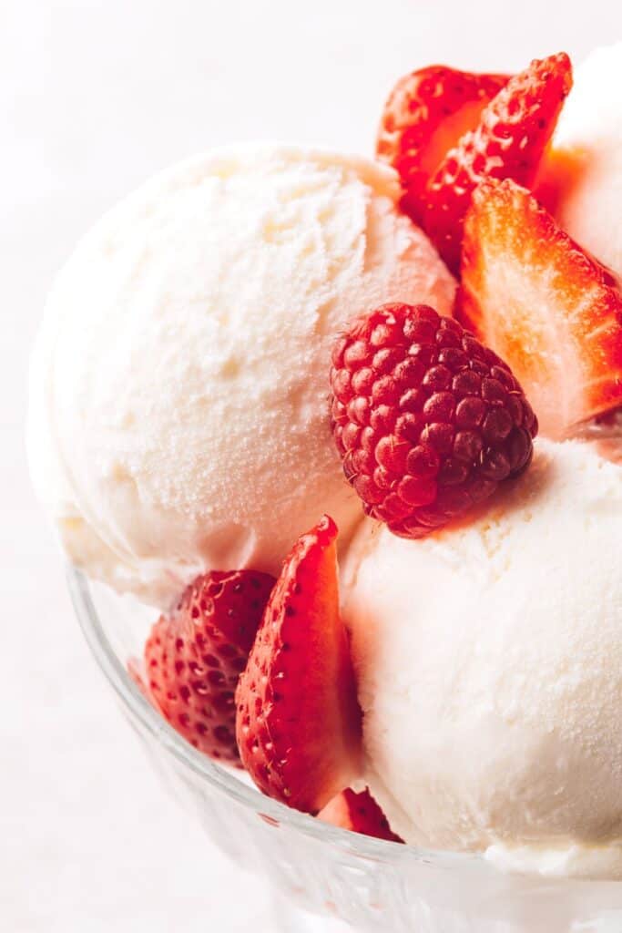 SugarFree Frozen Yogurt Recipe MyKetoPlate