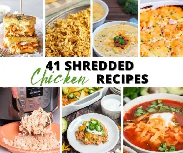 41 Shredded Chicken Recipes-2
