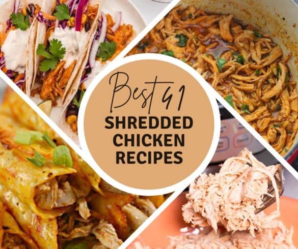 41 Shredded Chicken Recipes 12