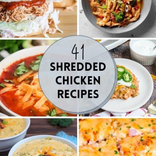 Easy Shredded Chicken Recipes