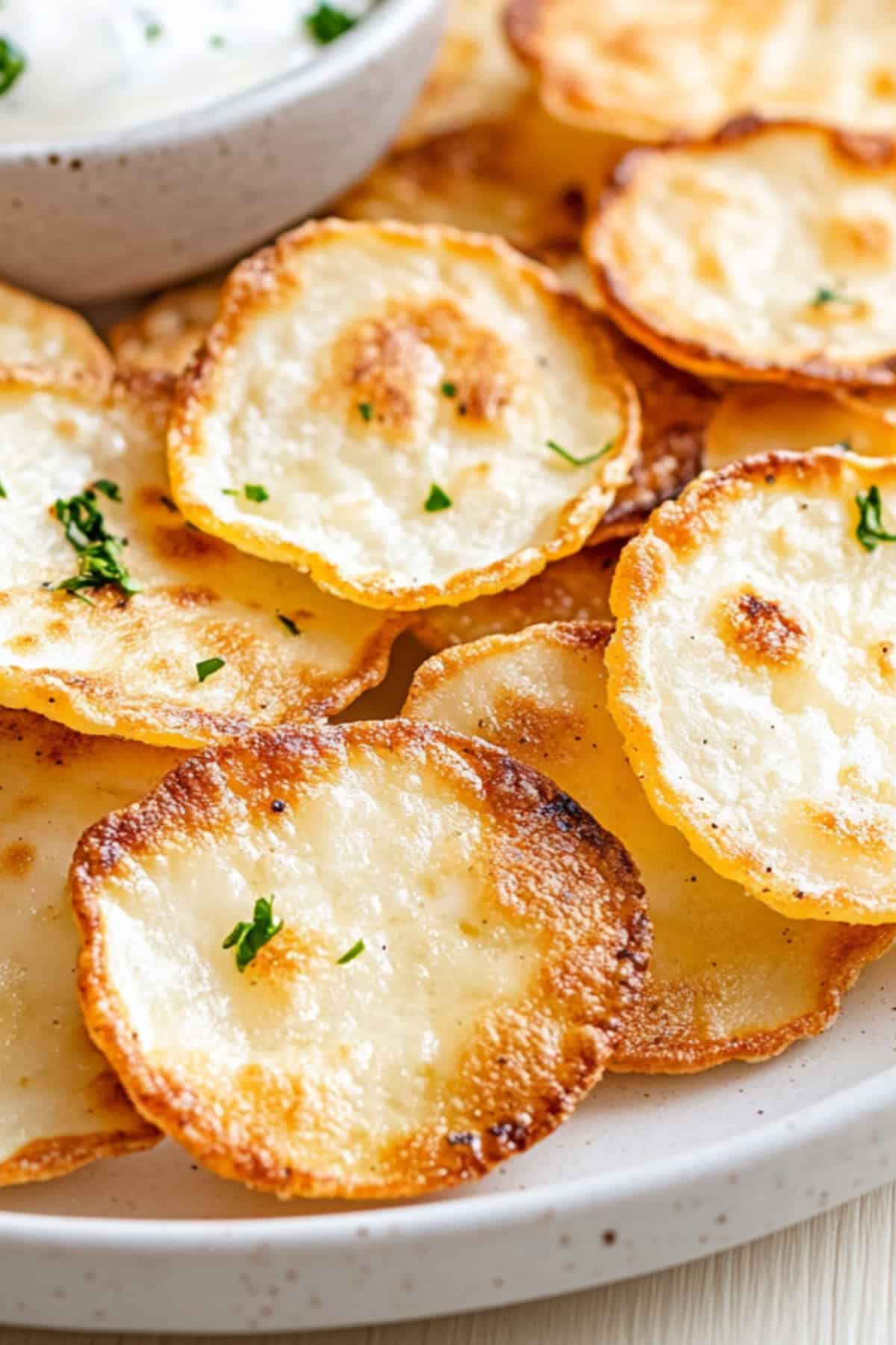 The Best Cottage Cheese Chips 1